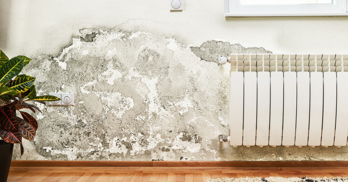 Mold and moisture buildup on the wall of a modern house, showing extensive damage and discoloration.