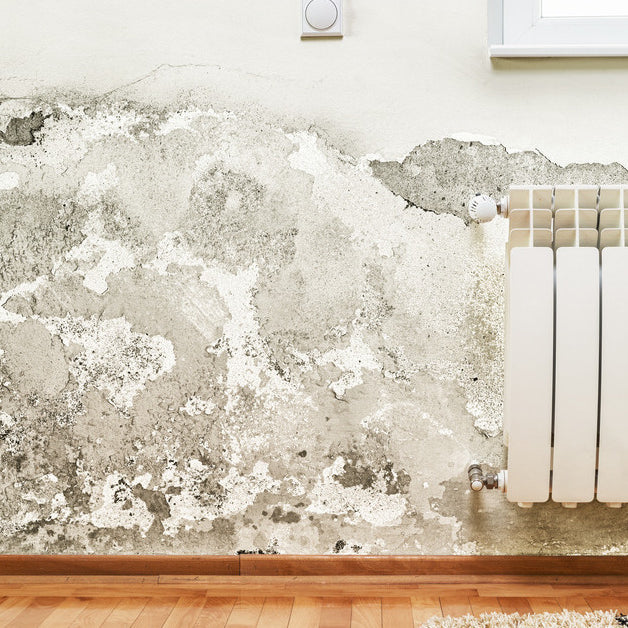 Mold and moisture buildup on the wall of a modern house, showing extensive damage and discoloration.