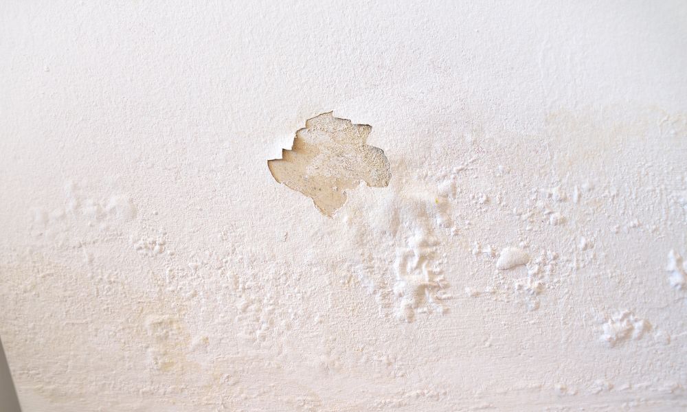 5 Great Tips To Manage Moisture in Drywall