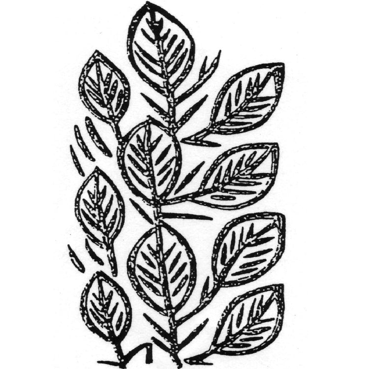 Renard Products Vine Texture Roller for Walls and Ceilings