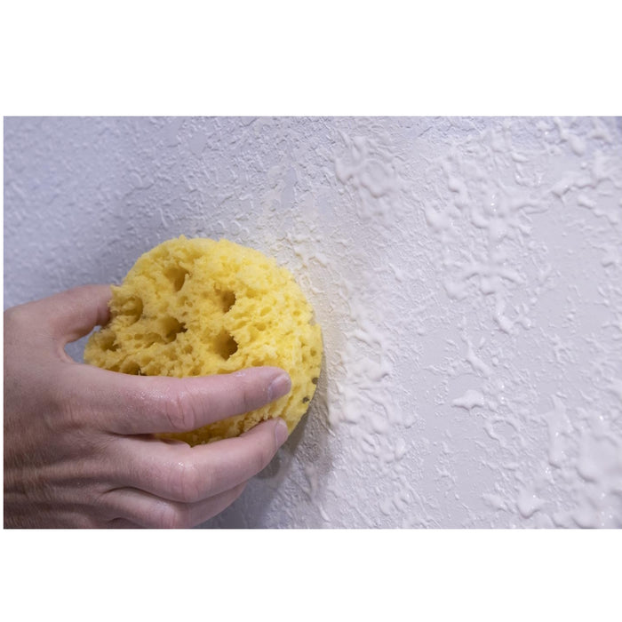 Marshalltown Texture Repair Sponge Kit